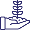 Novon-fungicides
